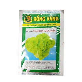 Hạt Giống Xà Lách Dún Vàng Cao Sản Rồng Vàng (50g)