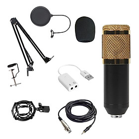 Microphone Kit Professional Computer Cardioid Mic Condenser Microphone for PC Karaoke, Gaming Recording