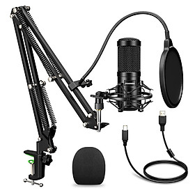 Micro USB 192kHZ / 24bit Có Giá Đỡ Dành Cho Máy Tính Để Hát Karaoke