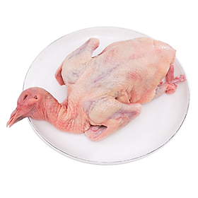 Bồ câu làm sạch Toh Fish - 1 con