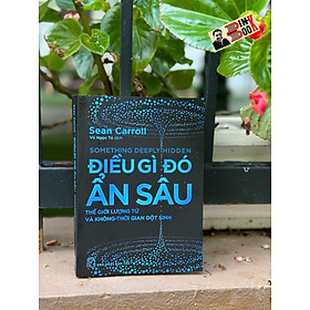 ĐIỀU GÌ ĐÓ ẨN SÂU - Thế Giới Lượng Tử Và Không-Thời Gian Đột Sinh - Sean Carroll - Vũ Ngọc Tú dịch - NXB Trẻ