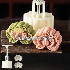 Mua Khuôn trung thu lò xo  khuôn ép xôi hoa sen loại 50 gram – Mã số 1748