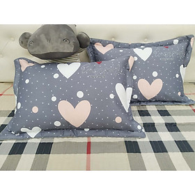 Mua Vỏ gối cotton siêu đẹp 45x65cm (2 cái)
