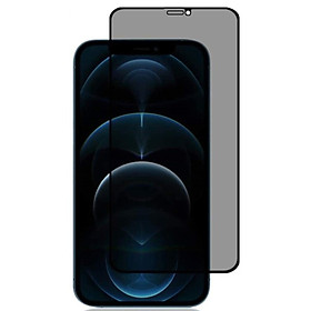 Mua Kính Cường Lực cho iPhone 12 Pro Max  12 Pro  12  12 Mini Chống Nhìn Trộm