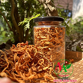 Đông Trùng Hạ Thảo Sấy Khô Hũ 500g