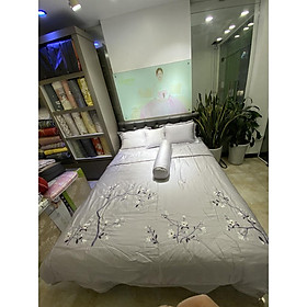 Mua Bộ chăn BM (4 mùa) EST21031 160*200  180*200  200*220