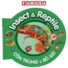 Hình ảnh Picture Dictionary - Từ Điển Bằng Hình - Insect And Reptile - Côn Trùng Và Bò Sát - Bìa Cứng