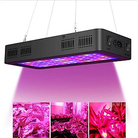 Đèn Led trồng cây TS-600W, Đèn trồng cây trong nhà, led grow light