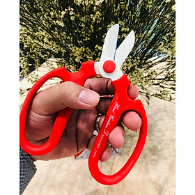 Mua Kéo Cắt Hoa Scissors F-170