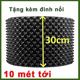 Mua 10 MÉT Bầu ươm cây V6 CAO 30CM dày 6mm  cắt theo mét dài khách đặt  tặng ốc vít-77900