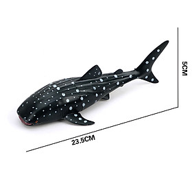 Mô hình Cá mập voi (cá nhám voi) 23x5 cm - Đồ chơi động vật biển New4all CMV1814 Rhincodon typus