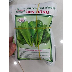 Hạt giống cải bẹ xanh mỡ Sen Hồng 100g