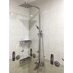 Mua Sen cây phòng tắm inox