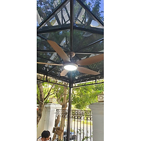 Mua Quạt Trần Có Đèn LED 6 Cấp  Độ Gió  3 Chế Độ Đèn LED