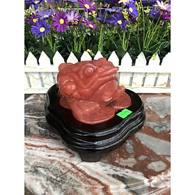 Mua Tượng Cóc Ba Chân  Cóc Ngậm Tiền  Thiềm Thừ phong thủy chiêu tài lộc đá núi lửa Obsidian đỏ - Nặng 1 37 kg
