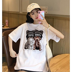 Áo thun cao cấp, có Bigsize từ S đến 8XL, vải cotton mịn, mặc thoáng mát, mẫu ATNN75- Thời Trang Waoo