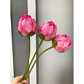 Mua Hoa giả _ Cụm sen thái loại 1 - Cành bông sen Quan Âm – Hồng – Dài 75 cm