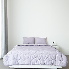 Mua Chăn Chần Bông ARIZE On Cloud Amber Purple Vải Ultra Microfiber Chống Bụi