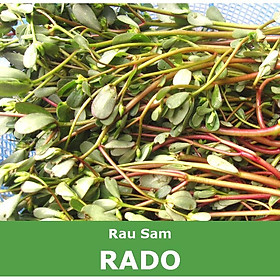 Mua Hạt Giống Rau Sam Nảy Mầm Tốt