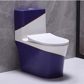 Mua Bồn cầu 1 khối màu sắc sinh động phù hợp với giới trẻ