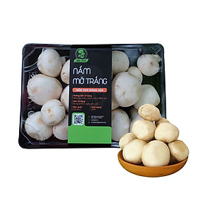 NẤM MỠ TRẮNG