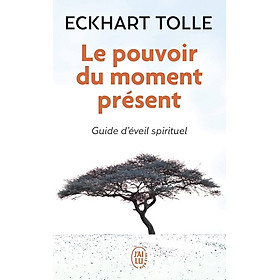 Tiểu thuyết tiếng Pháp LE POUVOIR DU MOMENT PRESENT