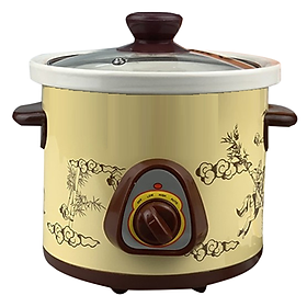 Mua Nồi Hầm Cháo Chậm Dung Tích 1.5L Đa Năng