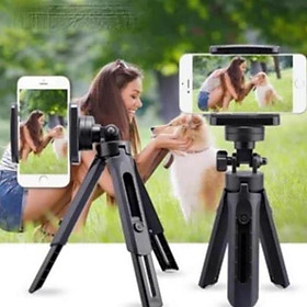 Mua -Giá Đỡ Mini Xếp Gọn 3 Chân Tripod Support MT01 Xoay 360 Độ - Hàng Nhập Khẩu