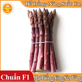 Mua Hạt giống Măng Tây Tím ( Gói 10 Hạt ) - Nông Sản Vàng