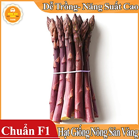 Hạt giống Măng Tây Tím ( Gói 10 Hạt ) - Nông Sản Vàng