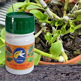 Mua Phân Bón Dinh Dưỡng Hoàn Thiện Sinh Khối cho lan NPK 30 Premium (100G)