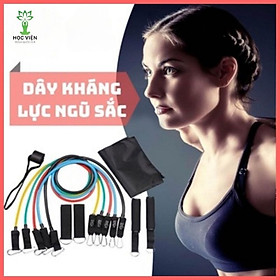 Bộ 5 Dây Ngũ Sắc Tập Gym, Tập Thể Hình - YOGA QG, Độ Đàn Hồi Cao, Chịu Lực Kéo Lớn; Giúp Bạn Tập Luyện Cơ Tay, Vai, Ngực, Bụng, Mông, Chân Ngay Tại Nhà; Kích Thước Gọn Nhẹ, Dễ Dàng Di Chuyển - Hàng chính hãng