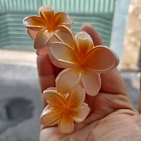 Kẹp Tóc Hoa Sứ Nhiều Màu Sắc Thời Trang Đi Biển Phong Cách Hawai