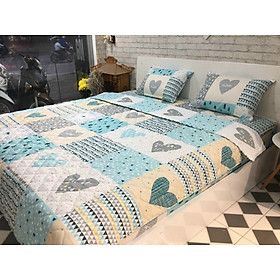 Bộ Ga Chần Bông Bảo Vệ Nệm + Vỏ Chăn Cotton Hàn Quốc