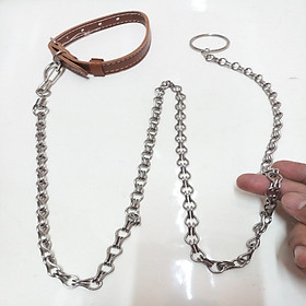 COMBO 1 DÂY XÍCH CHÓ INOX DÀY DÀI +1 CỔ CHO DA.