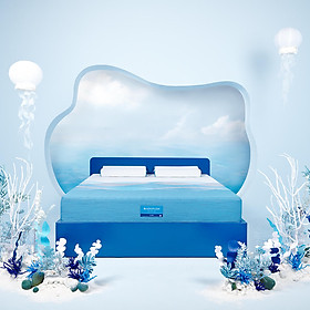 Mua Nệm Foam cao cấp Aeroflow Pride phân tán và giải phóng áp lực  nâng đỡ chuyên sâu theo vùng