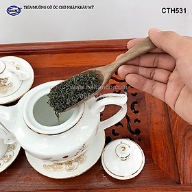 Thìa/Muỗng xúc trà gỗ Óc Chó (15cm) CTH531 - Dùng xúc cafe, xúc gia vị, ăn uống sạch, decor trang trí