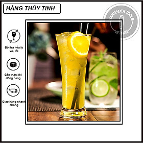Highball cocktail glass - Ly cocktail thủy tinh (BG09)