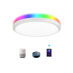 Mua Đèn LED Trang Trí Cao Cấp Wifi Ốp Trần Đổi Màu RGB Điều Khiển Qua Ứng Dụng Tuya SHP-HUE9v2