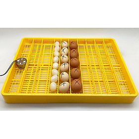 Mua Khay  Đảo Trứng Ánh Dương Tự Động Ấp 50-60 Quả-Hàng Chính Hãng