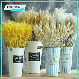 Mua Bông Lúa Mạch Khô Decor Chụp Ảnh Hoa Lúa Mạch Vàng Thần Tài Trang Trí Tết 100 Bông