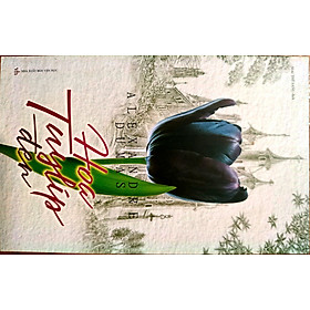 Hoa Tuylip Đen