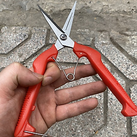 Kéo Cắt Tỉa Hoa Lan Cây Cảnh -  Cán Đỏ Lưỡi Dài Mũi Nhọn - Có Khoá Tiện Dụng