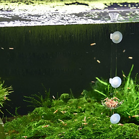 3xAcrylic Shrimp Feeding Feeder Food Bowl Dish Tray for Aquarium   Tank