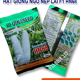 Mua Hạt Giống Ngô Nếp Dẻo Thơm Ngon Đều Hạt HN68 Gói 300gram