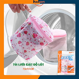 Mua Túi Giặt Áo Ngực Quần Lót Lưới Khoá Kéo Cố Định 15CM Phân Loại Chống Rối Quần Áo Có Lỗ Treo
