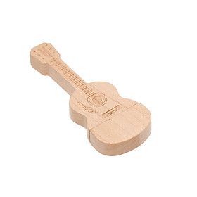 USB Hình Đàn Guitar