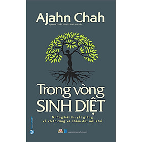 Trong Vòng Sinh Diệt - Ajahn Chah