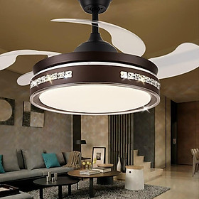 Mua quạt trần giấu cánh động cơ DC 6 số