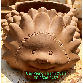 Chậu đất nung trồng cây - Chậu trồng cây sen đá, xương rồng Hình Nhím (Cỡ trung) có lỗ thoát nước